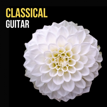Classical Guitar