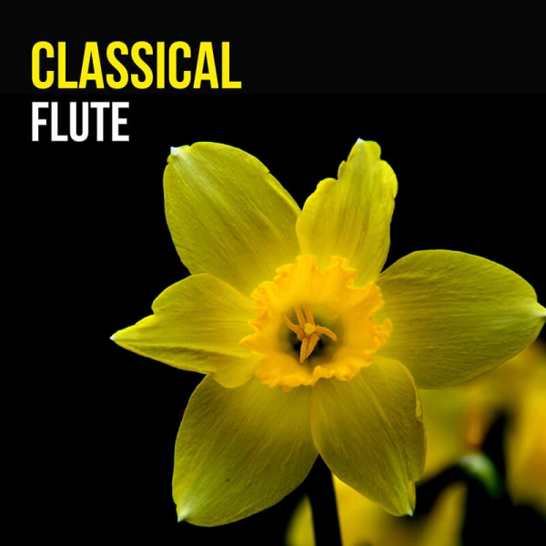 Classical Flute