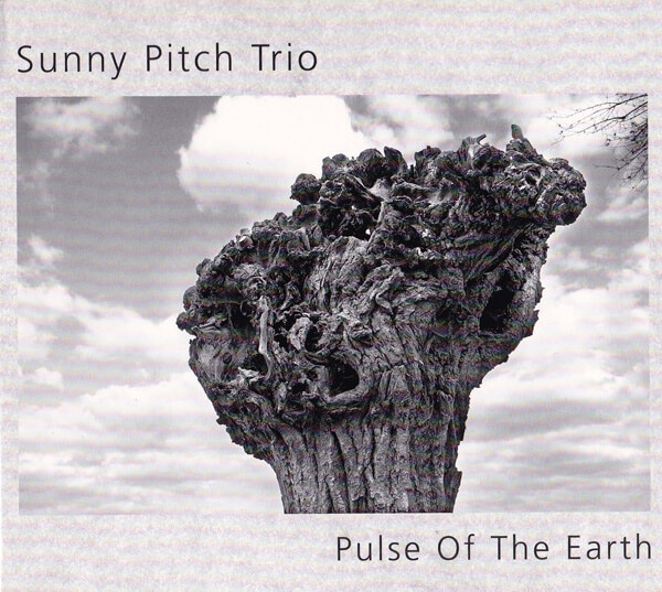 cd_kaufen_sunnypitchtrio
